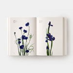 Flower Colour Guide