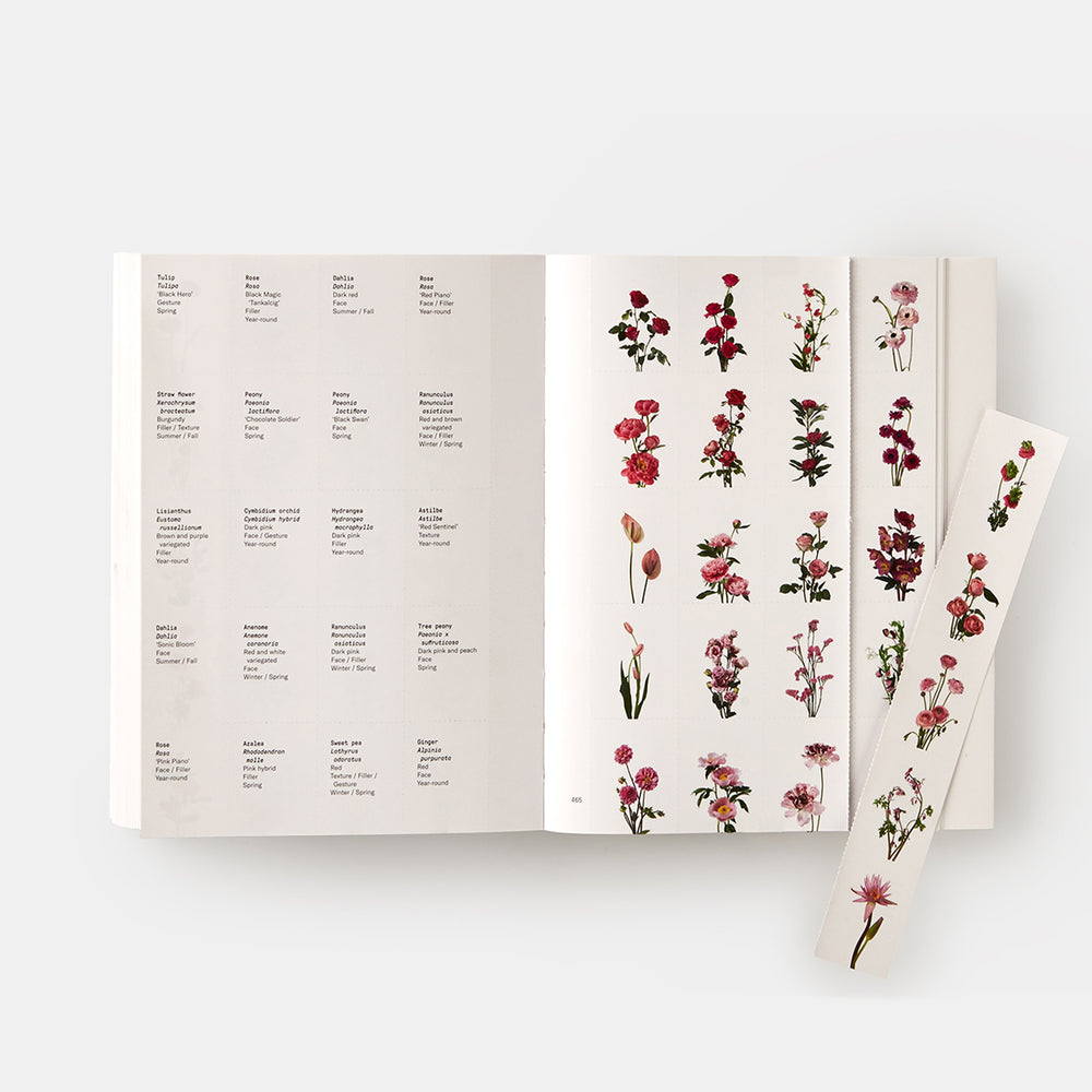 Flower Colour Guide
