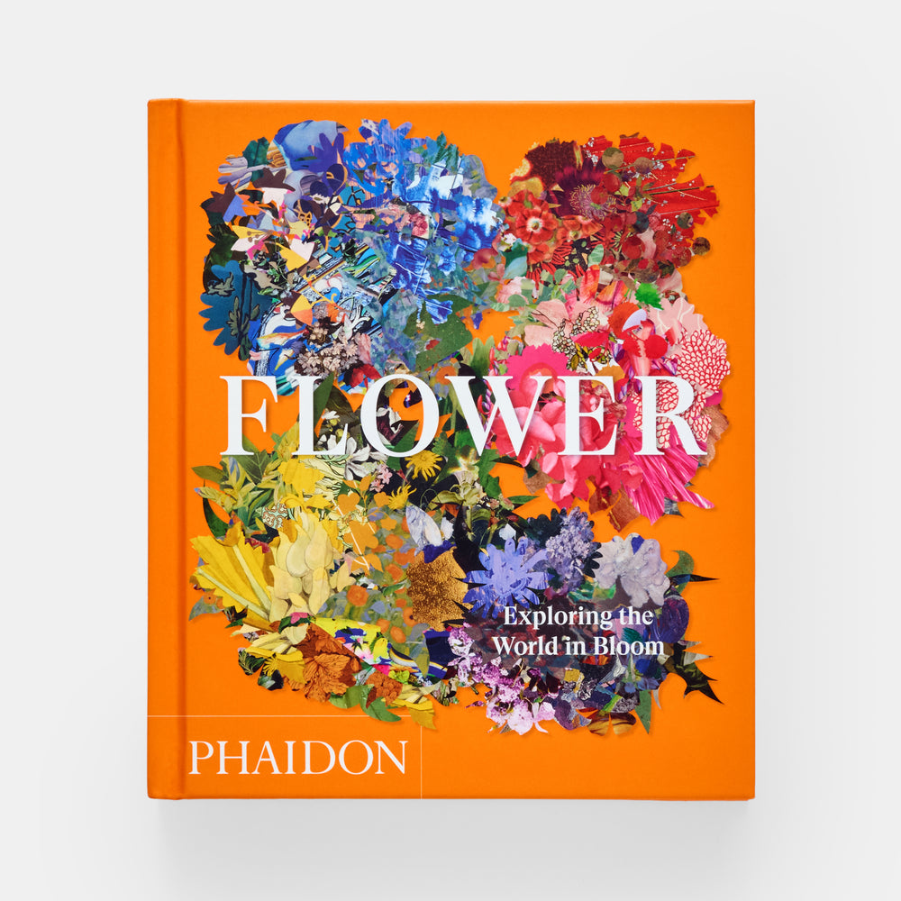 Flower: Exploring the World in Bloom