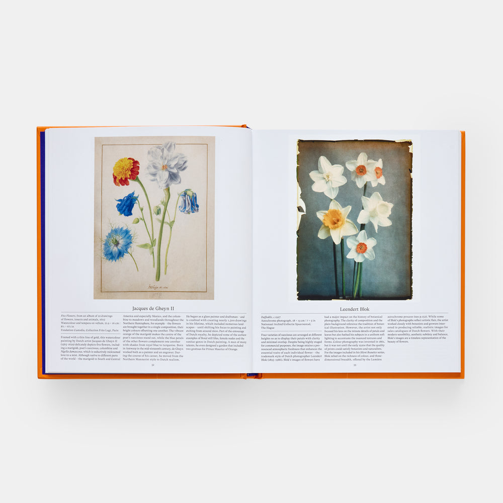 Flower: Exploring the World in Bloom