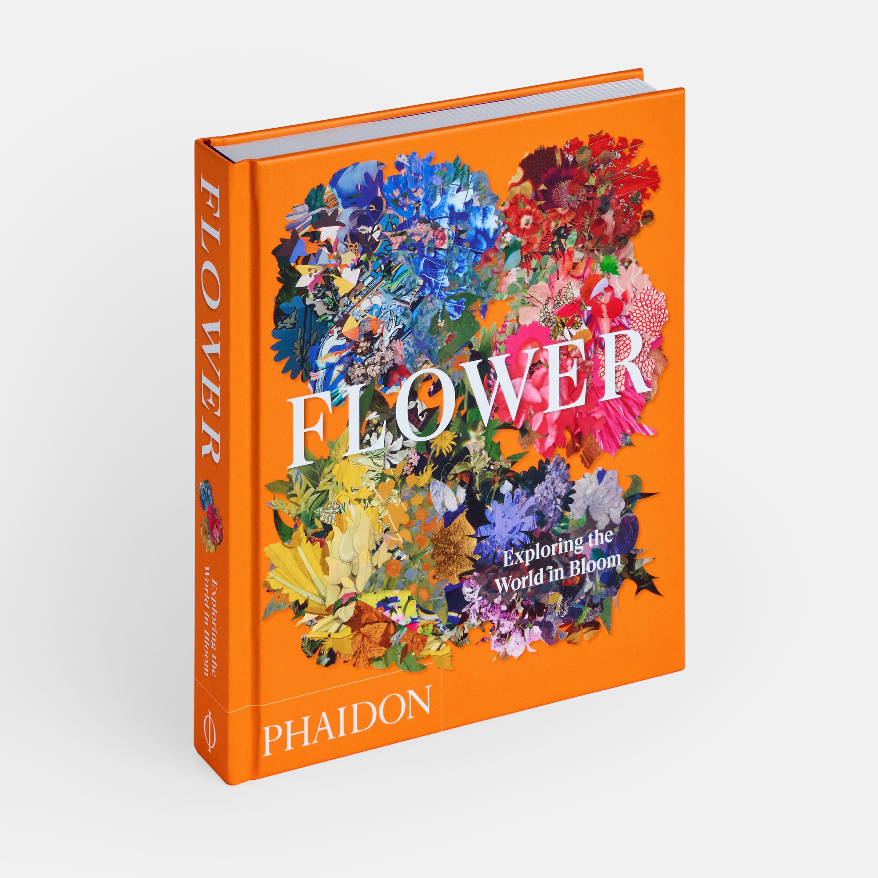 Flower: Exploring the World in Bloom | Standard Edition