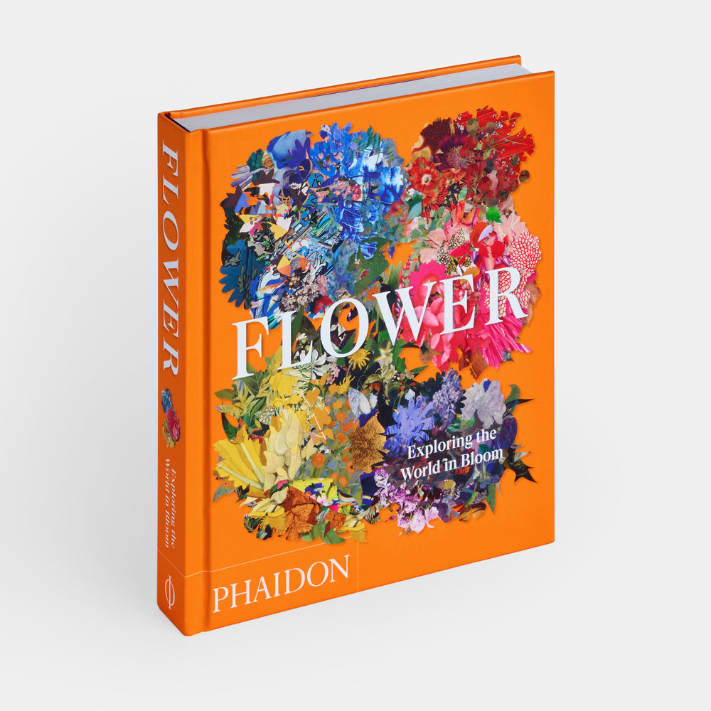 Flower: Exploring the World in Bloom