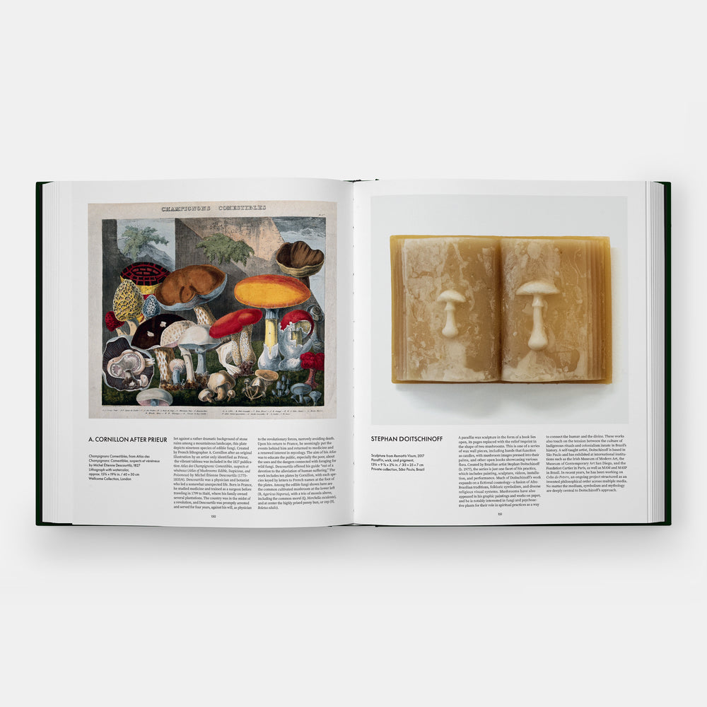 Fungi: The World of Mushrooms