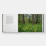 Garden Portraits: Experiences of Natural Beauty