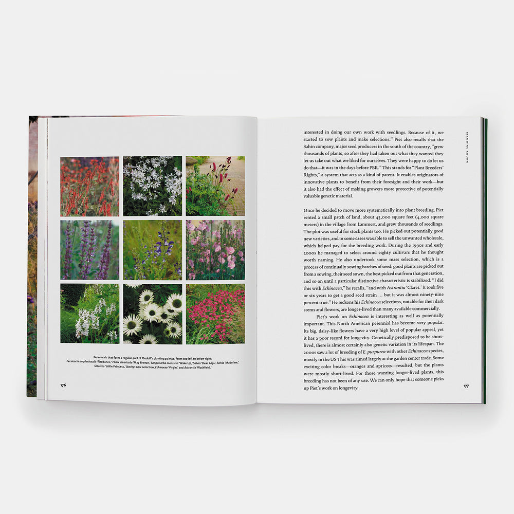 Hummelo: A Journey Through a Plantsman's Life