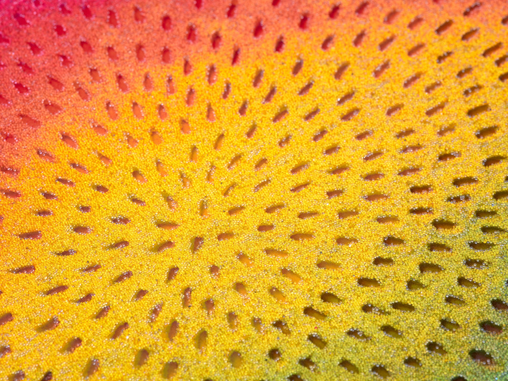 Rainbow Orb 2