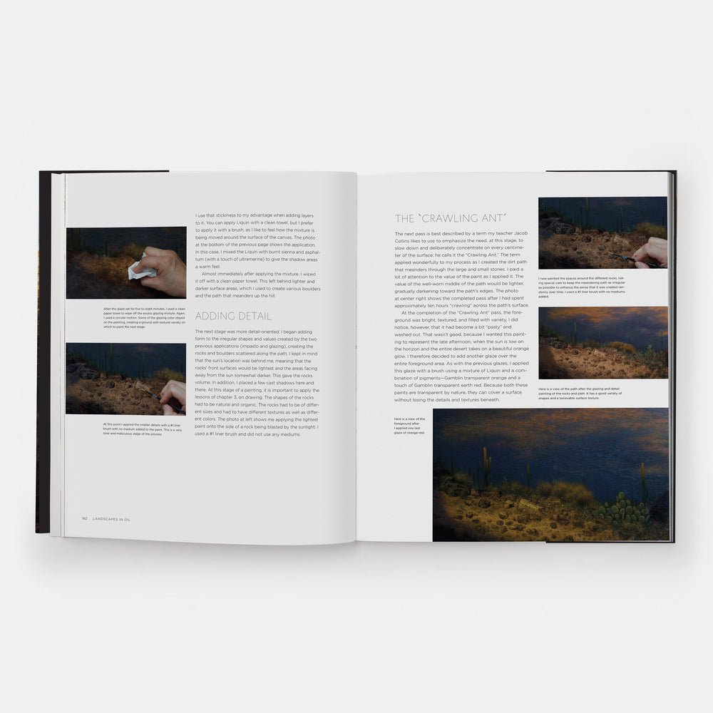 Landscapes in Oil: A Contemporary Guide to Realistic Painting in the Classical Tradition