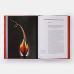 Lino Tagliapietra: Sculptor in Glass