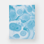 Look Good, Feel Good, Play Good: Nike Apparel