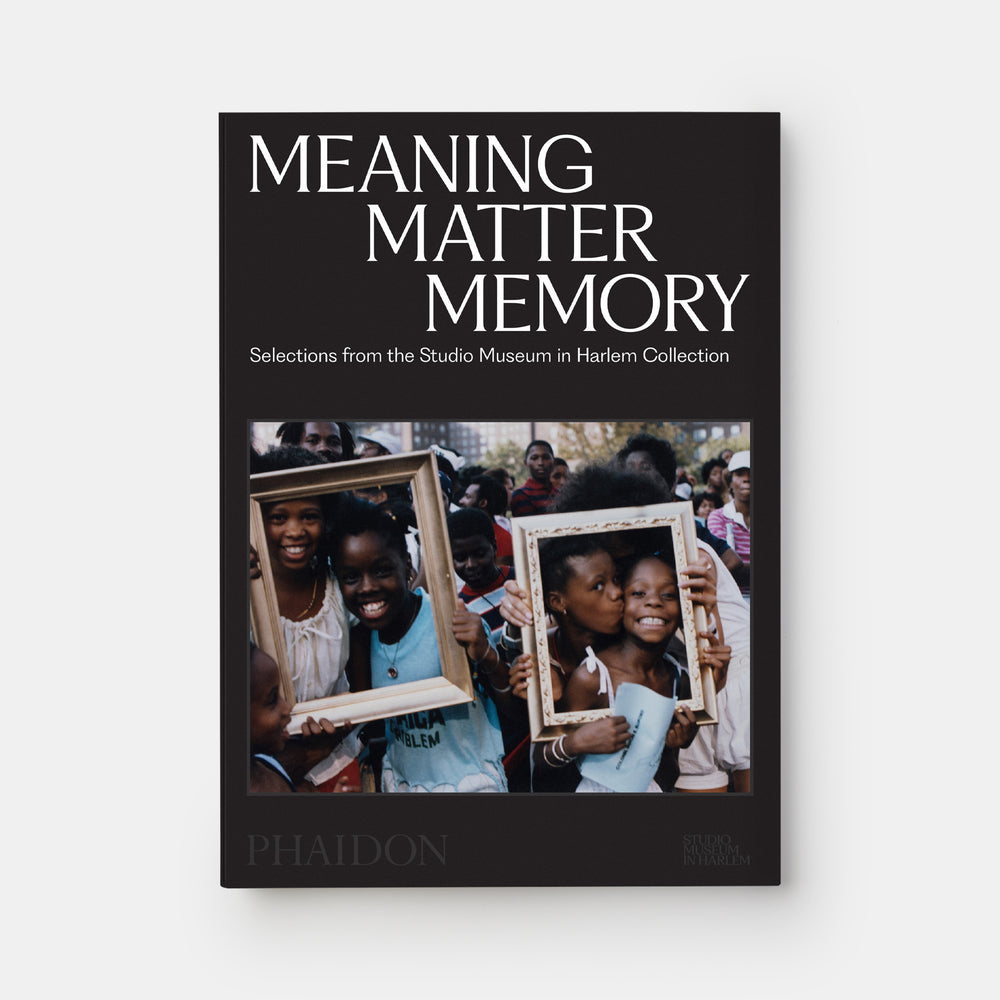 Meaning Matter Memory: Selections from the Studio Museum in Harlem Collection
