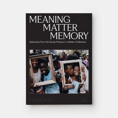 Meaning Matter Memory: Selections from the Studio Museum in Harlem Collection