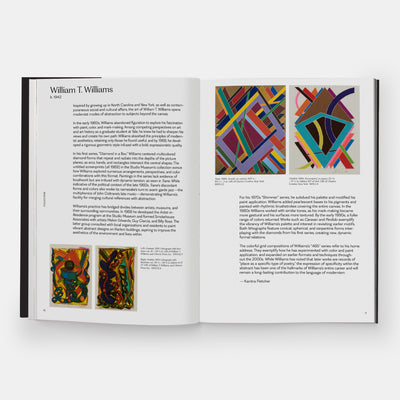Meaning Matter Memory: Selections from the Studio Museum in Harlem Collection