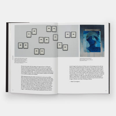 Meaning Matter Memory: Selections from the Studio Museum in Harlem Collection