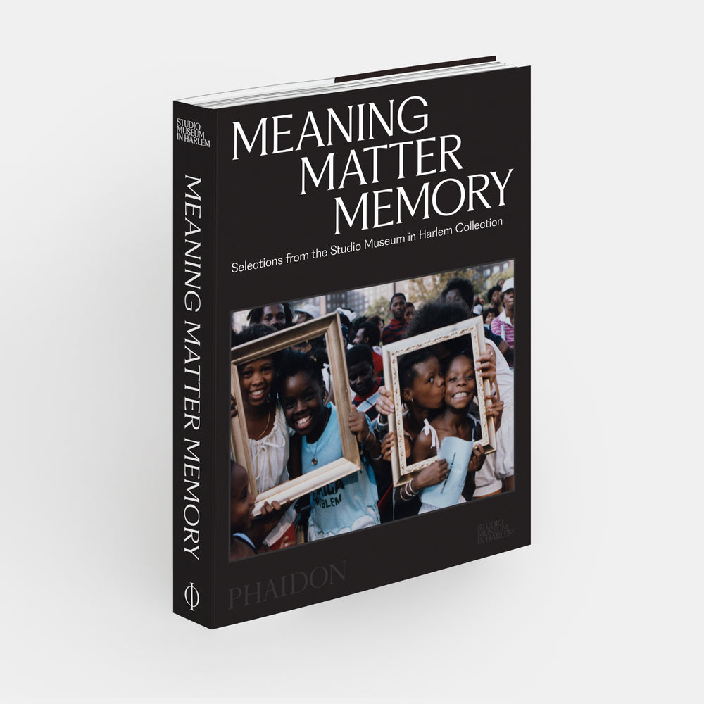 Meaning Matter Memory: Selections from the Studio Museum in Harlem Collection