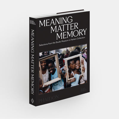 Meaning Matter Memory: Selections from the Studio Museum in Harlem Collection