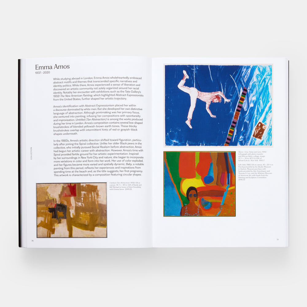 Meaning Matter Memory: Selections from the Studio Museum in Harlem Collection