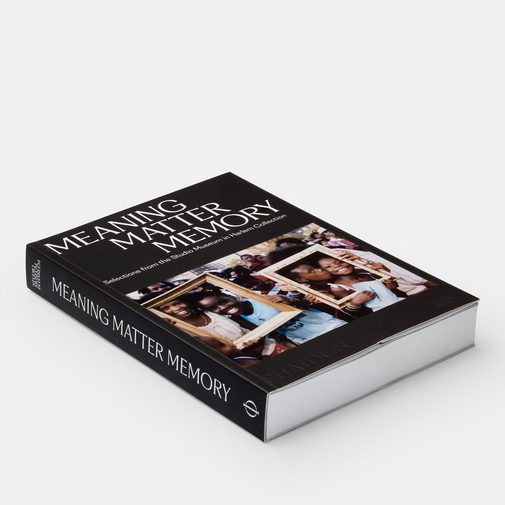 Meaning Matter Memory: Selections from the Studio Museum in Harlem Collection