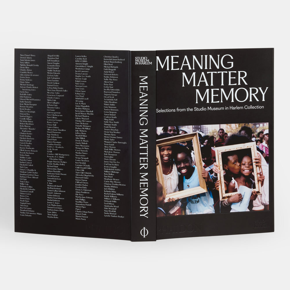 Meaning Matter Memory: Selections from the Studio Museum in Harlem Collection