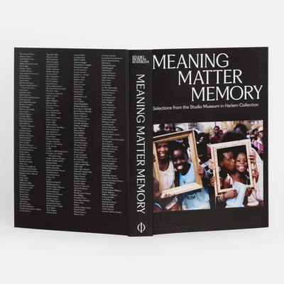 Meaning Matter Memory: Selections from the Studio Museum in Harlem Collection