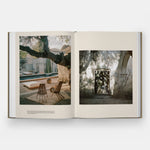 Mesoamerican Modern: Ancient Ideas in Contemporary Mexican Homes