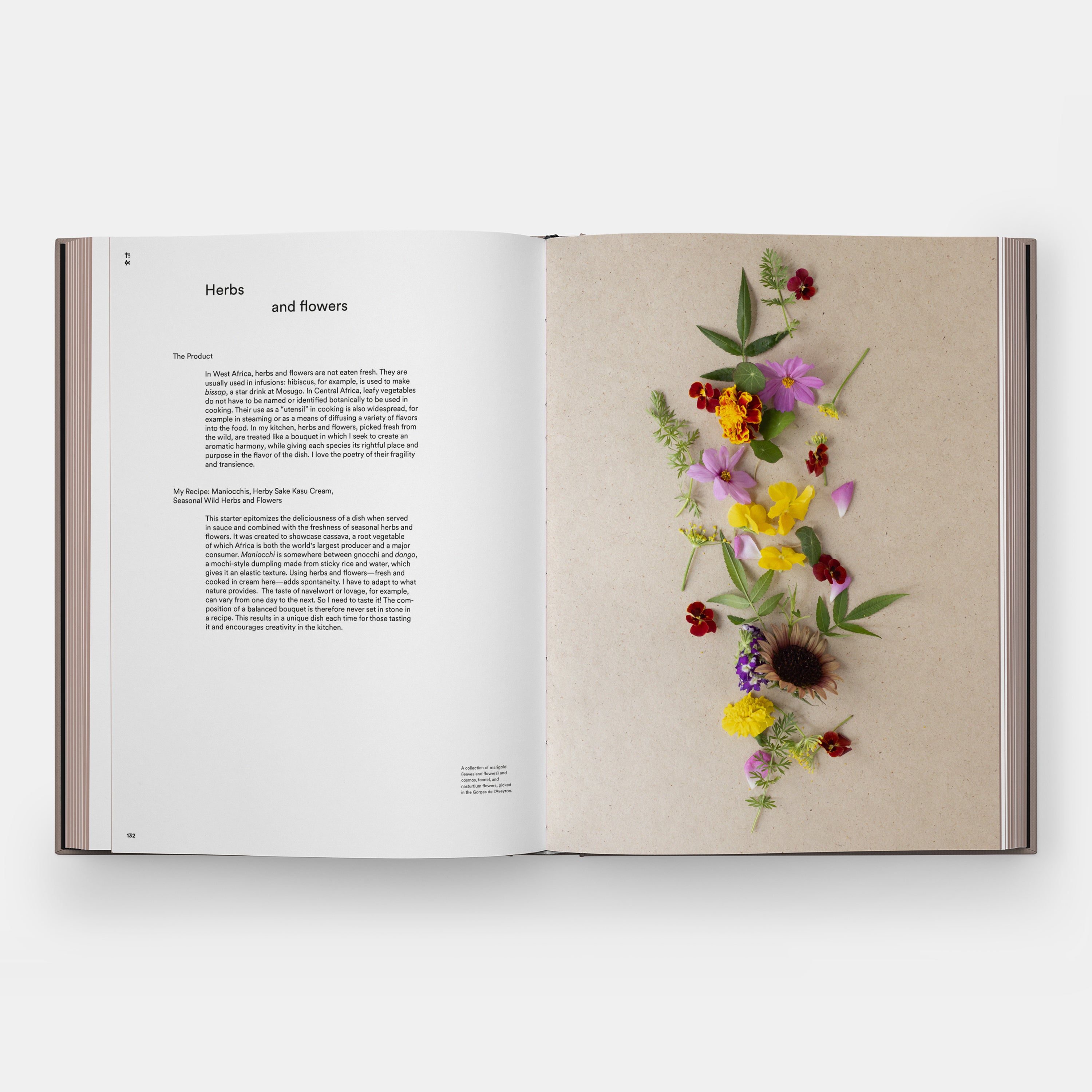 Flower: Exploring the World in Bloom | Standard Edition