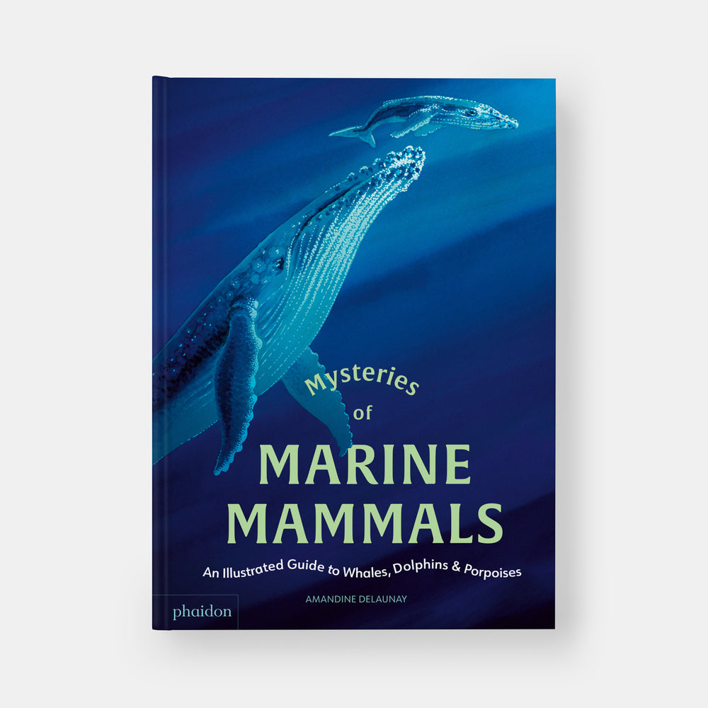 Mysteries of Marine Mammals: An Illustrated Guide to Whales, Dolphins, and Porpoises