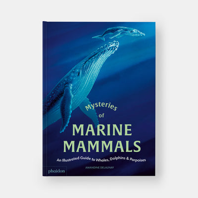 Mysteries of Marine Mammals: An Illustrated Guide to Whales, Dolphins, and Porpoises