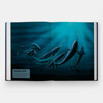 Mysteries of Marine Mammals: An Illustrated Guide to Whales, Dolphins, and Porpoises