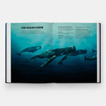 Mysteries of Marine Mammals: An Illustrated Guide to Whales, Dolphins, and Porpoises