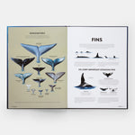 Mysteries of Marine Mammals: An Illustrated Guide to Whales, Dolphins, and Porpoises