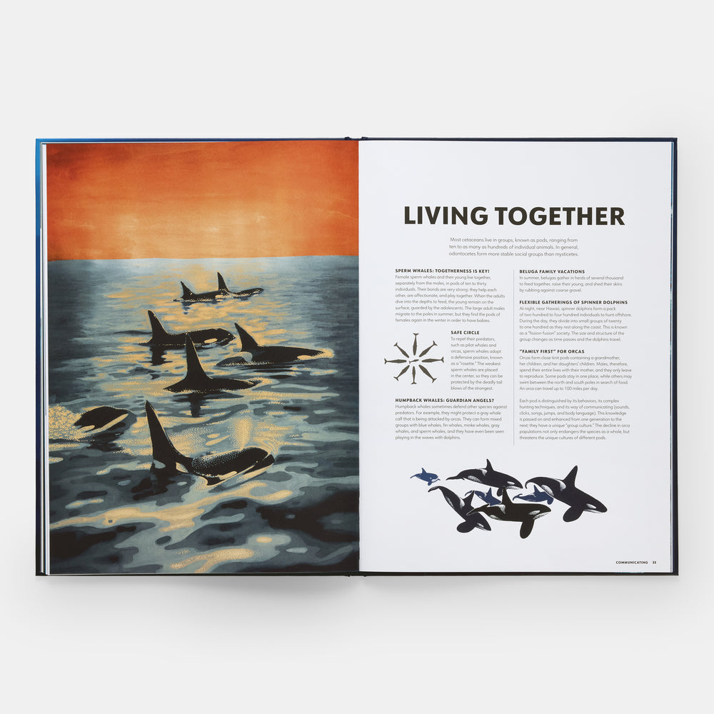 Mysteries of Marine Mammals: An Illustrated Guide to Whales, Dolphins, and Porpoises