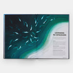 Mysteries of Marine Mammals: An Illustrated Guide to Whales, Dolphins, and Porpoises