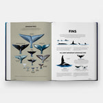Mysteries of Marine Mammals: An Illustrated Guide to Whales, Dolphins, and Porpoises