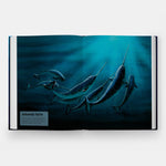 Mysteries of Marine Mammals: An Illustrated Guide to Whales, Dolphins, and Porpoises