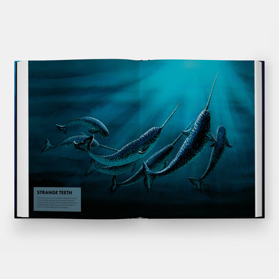 Mysteries of Marine Mammals: An Illustrated Guide to Whales, Dolphins, and Porpoises