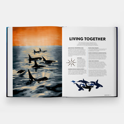 Mysteries of Marine Mammals: An Illustrated Guide to Whales, Dolphins, and Porpoises