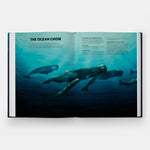 Mysteries of Marine Mammals: An Illustrated Guide to Whales, Dolphins, and Porpoises