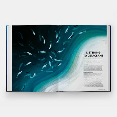 Mysteries of Marine Mammals: An Illustrated Guide to Whales, Dolphins, and Porpoises