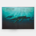 Mysteries of Marine Mammals: An Illustrated Guide to Whales, Dolphins, and Porpoises