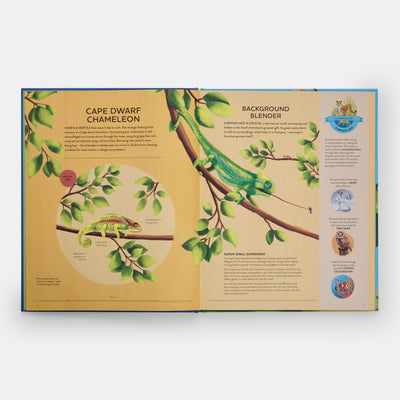 Nature's Tiny Champions: The Big Book of Little Creatures Doing Mighty Things