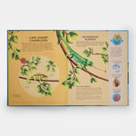 Nature's Tiny Champions: The Big Book of Little Creatures Doing Mighty Things