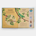 Nature's Tiny Champions: The Big Book of Little Creatures Doing Mighty Things