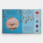 Nature's Tiny Champions: The Big Book of Little Creatures Doing Mighty Things