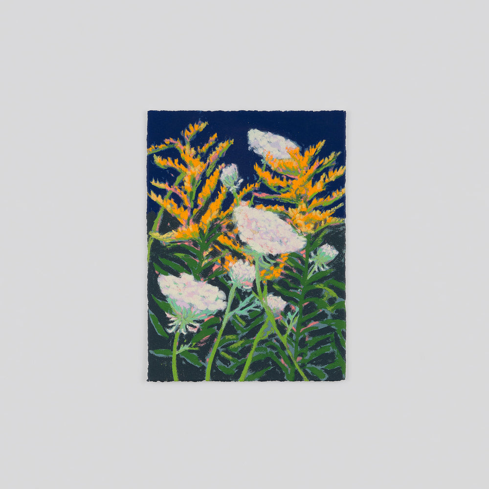 Goldenrod and Queen Anne's Lace
