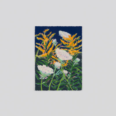 Goldenrod and Queen Anne's Lace