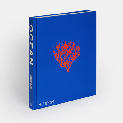 Ocean: Exploring the Marine World