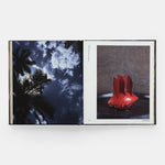 Oteque: Ideas, Principles, Recipes, Stories and Connections [A Cookbook]