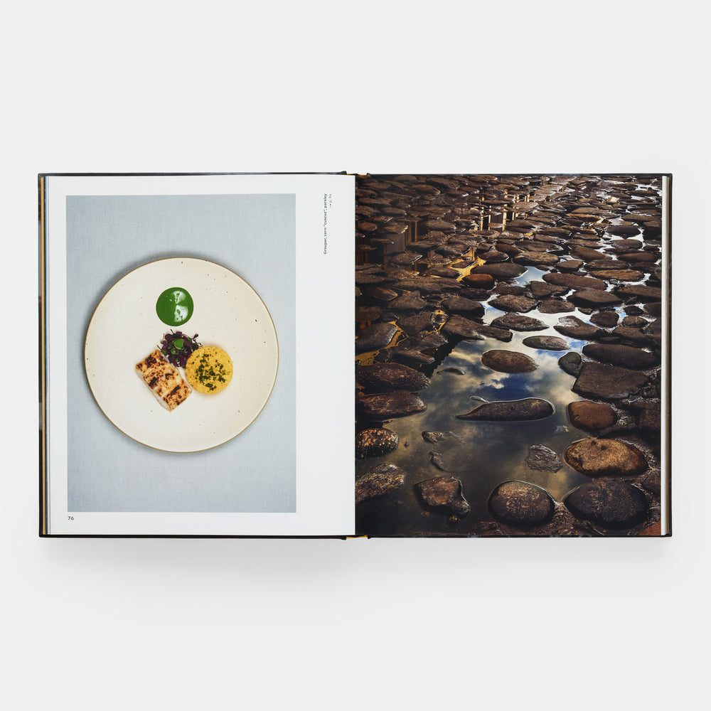 Oteque: Ideas, Principles, Recipes, Stories and Connections [A Cookbook]