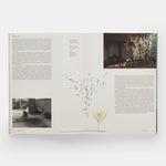 Paul Cocksedge: Reflections