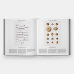 Plant: Exploring the Botanical World, Compact Format